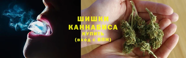 ПСИЛОЦИБИНОВЫЕ ГРИБЫ Аркадак
