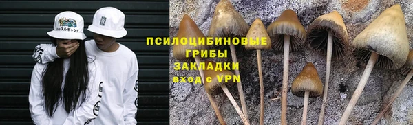 синтетический гашиш Арсеньев