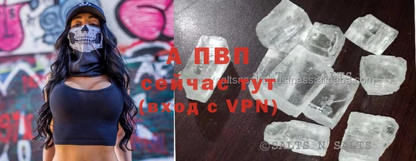 ПСИЛОЦИБИНОВЫЕ ГРИБЫ Аркадак